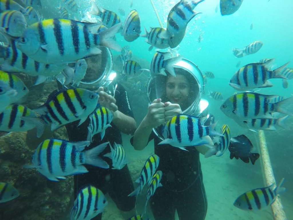 Bali Sea Walker Experience